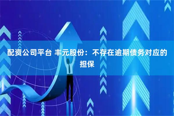 配资公司平台 丰元股份：不存在逾期债务对应的担保