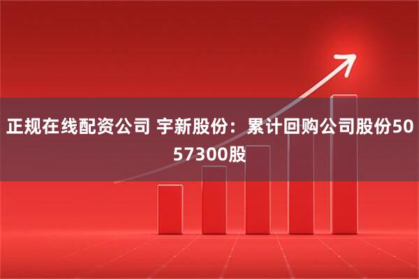 正规在线配资公司 宇新股份：累计回购公司股份5057300股