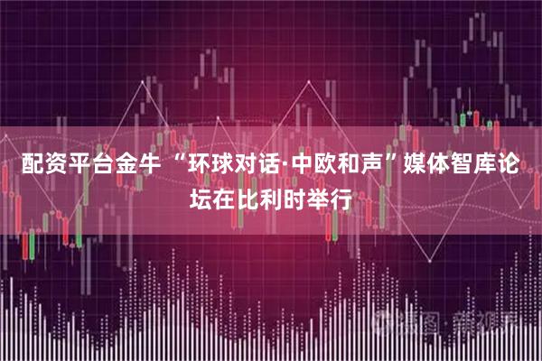 配资平台金牛 “环球对话·中欧和声”媒体智库论坛在比利时举行