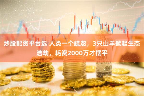 炒股配资平台选 人类一个疏忽，3只山羊掀起生态浩劫，耗资2000万才摆平